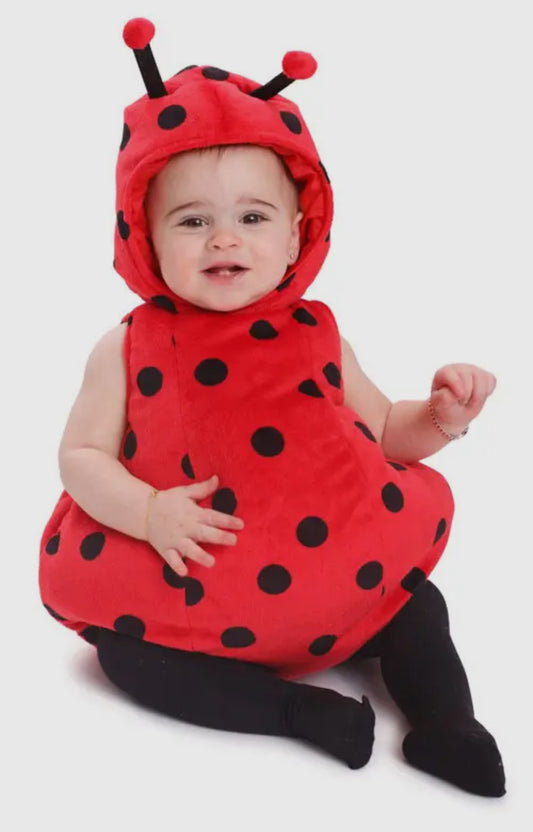 Ladybug Costume