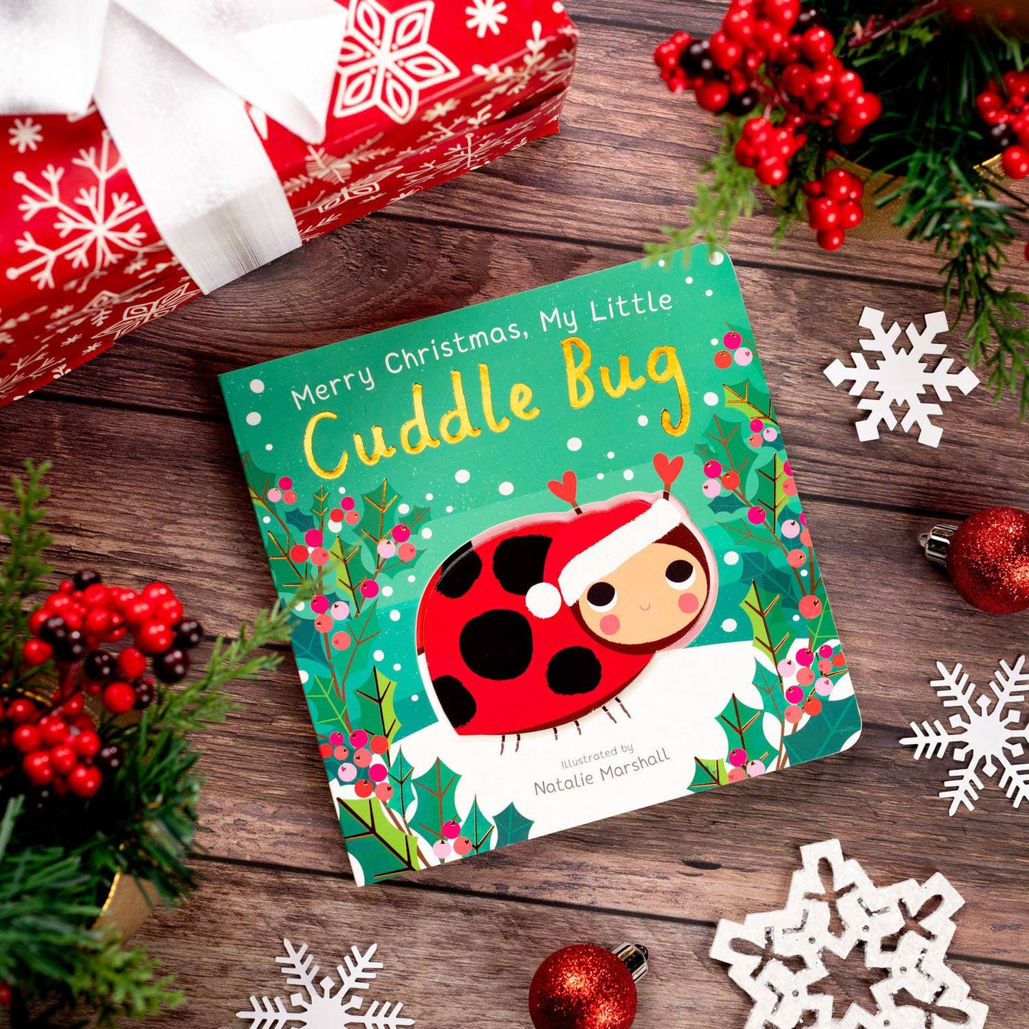 Merry Christmas, My Little Cuddle Bug by Nicola Edwards